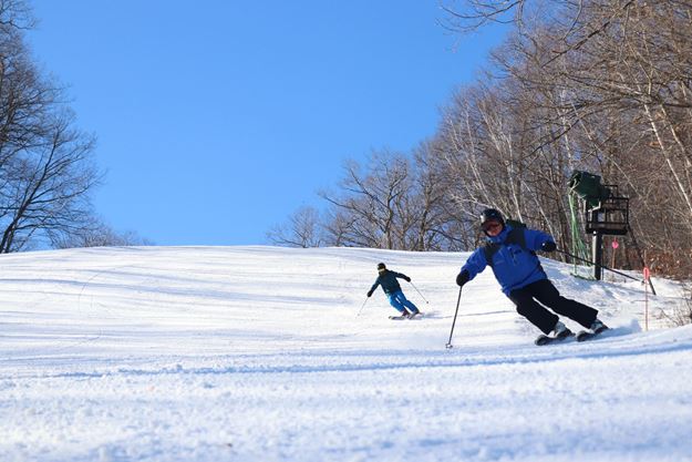 Picture of Private Ski Lesson